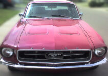 1968 Ford Mustang | Muscle Car