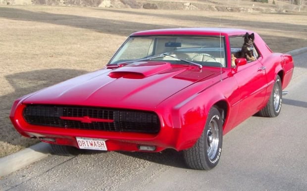 1969 Ford Thunderbird old car