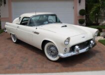 1956 T-Bird