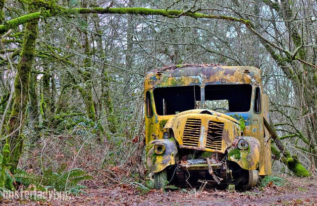 Abandoned School Bus old car
