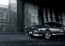 Shelby GT500E