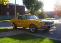 1968 Mustang Fastback | Muscle Car