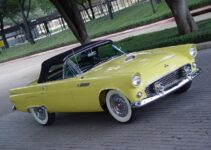 1955 Ford Thunderbird | Old Car