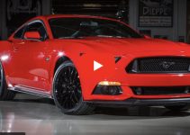 The Year of the Horse – Pony | Muscle Car
