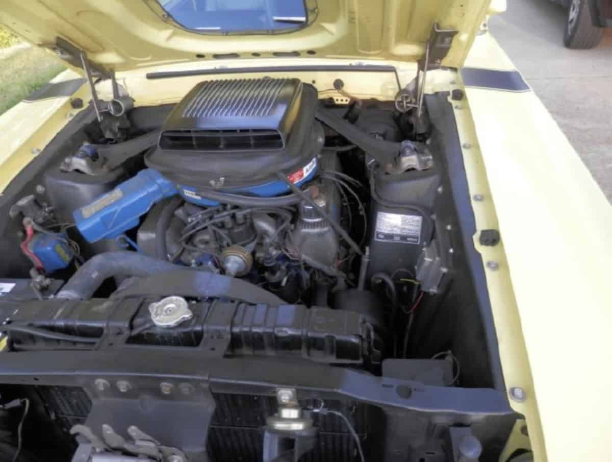1970-Ford-Mustang-Boss-302-2
