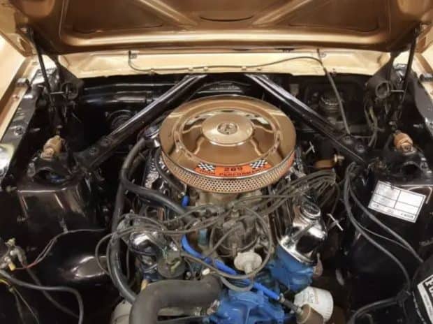 1965-Ford-Mustang-Sand-4